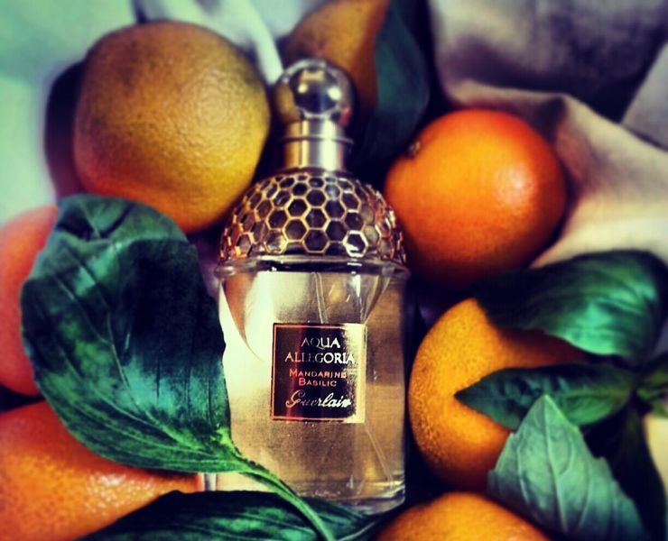 Аква Аллегория ОРИГИНАЛ AQUA ALLEGORIA Mandarine-Basilic Туалетная вода GUERLAIN Мандарин Базилик 32045 фото