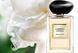 Giorgio Armani Prive Gard&eacute;nia Antigua тестер edt 100 ml, парфуми Армані прайв гарденія 32001 фото 8