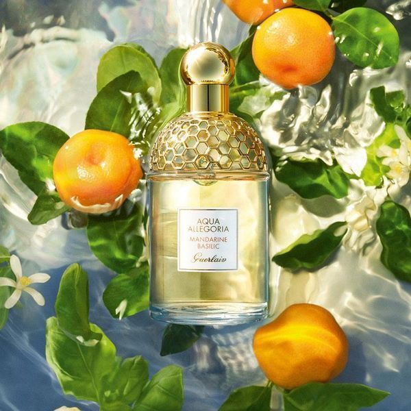 Аква Аллегория ОРИГИНАЛ AQUA ALLEGORIA Mandarine-Basilic Туалетная вода GUERLAIN Мандарин Базилик 32047 фото