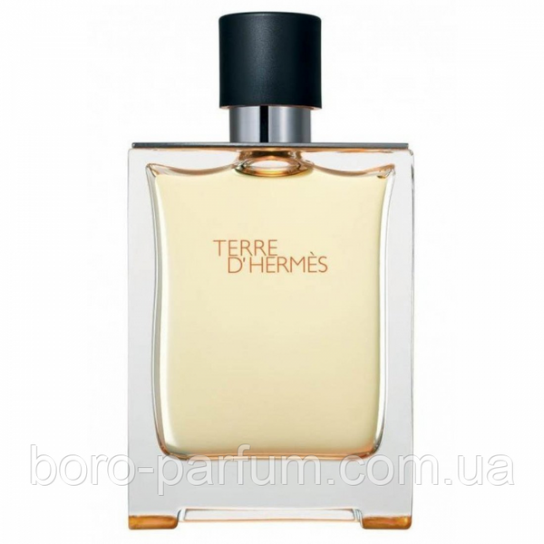 Чоловіча туалетна вода Hermes Terre d'Hermes 100 мл (Euro A-Plus) 29725 фото